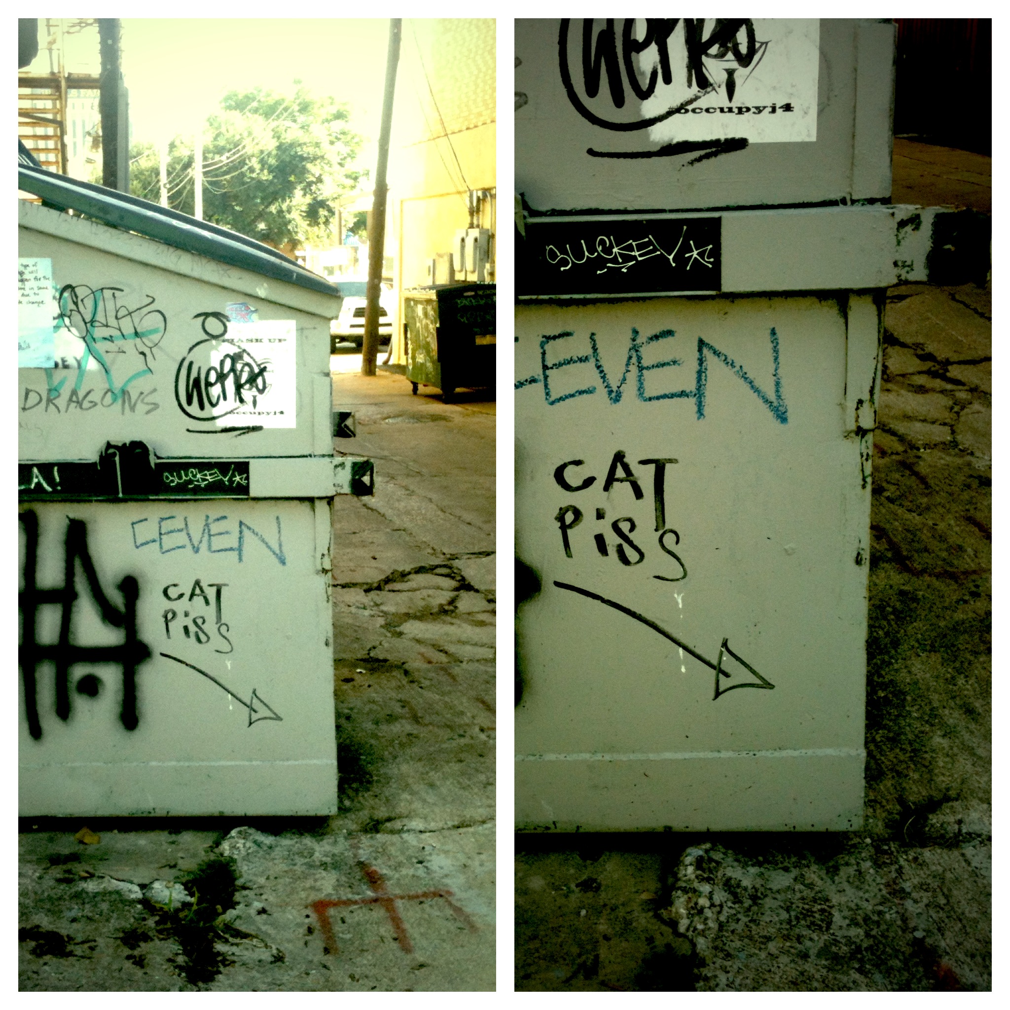 Cat Piss campus graffiti