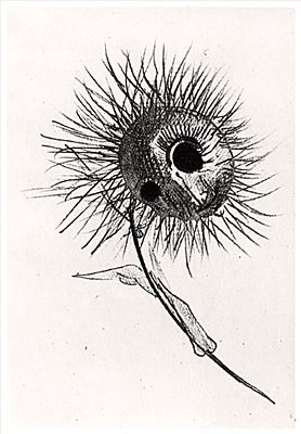 Fleur du mal: flower has thistles that look like needles, a single razor-sharp leaf, and large black splotches