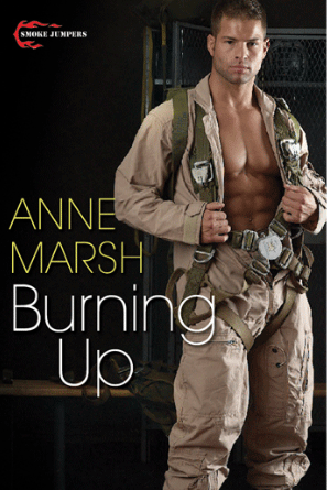 Cover for Burning Up by Anne Marsh