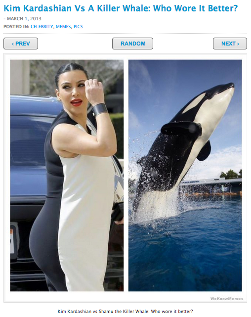 Kim Kardashian is compared to a killer whale.