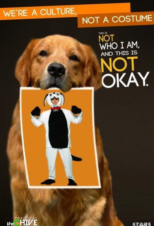 Not STARS: Dog holding a picture of a person wearing a dog costume