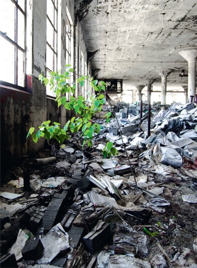 Ruined schools in Detroit