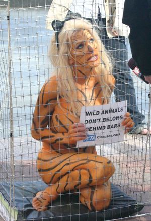 PETA protester as animal in cage