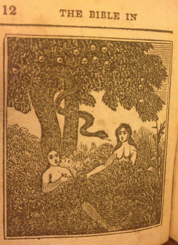 Adam and Eve in Miniature