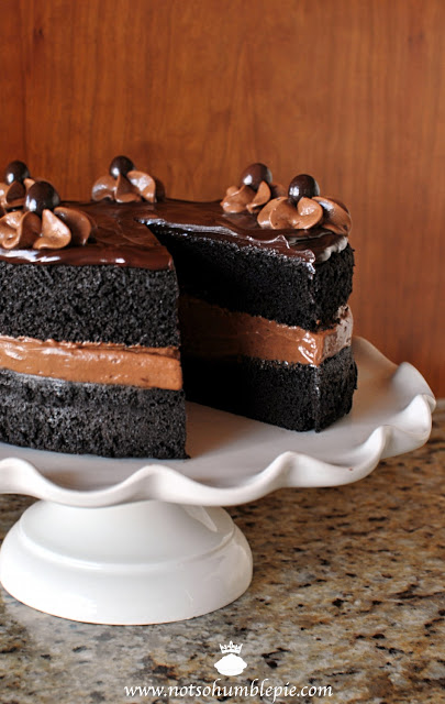 Midnight Mousse Cake