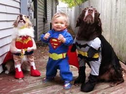 dogs and baby in super hero costumes