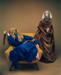two grey dogs in velvet robes, one with a wig on