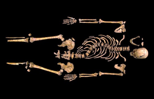 Richard III skeleton 
