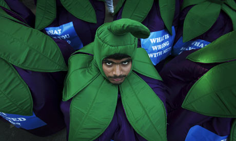 A Greenpeace member dressed as an eggplant to protest genetically-modified eggplants in India