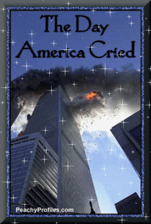 9/11 glitter icon