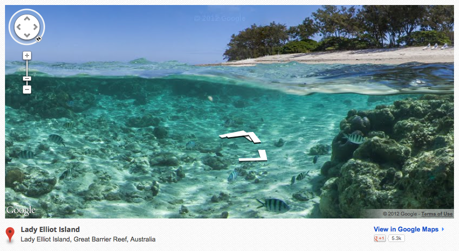 Screenshot of a panoramic Google "Sea View" image picturing Lady Elliot Island. Part of the view is under water and the other part is above water. The water contains fish and coral formations; the shore is sandy with trees.