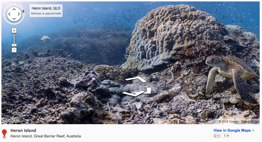Screenshot of Google "Sea View" image including a large coral reef, a turtle swimming towards the camera, and a school of fish in the background.