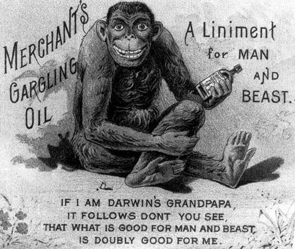 Merchant's Gargling Oil advertisement