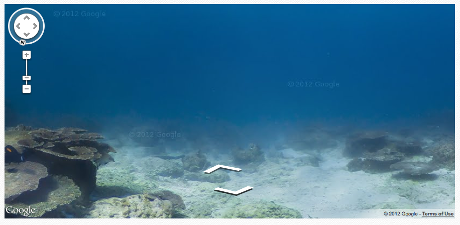 Screenshot of a murky underwater view, using Google's "Sea View," of waters off the coast of Lady Elliot Island.  There is some low-lying vegetation on the ocean floor; the water above it is dark and hazy.