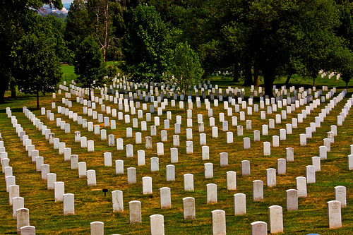 rows of graves at Arlington