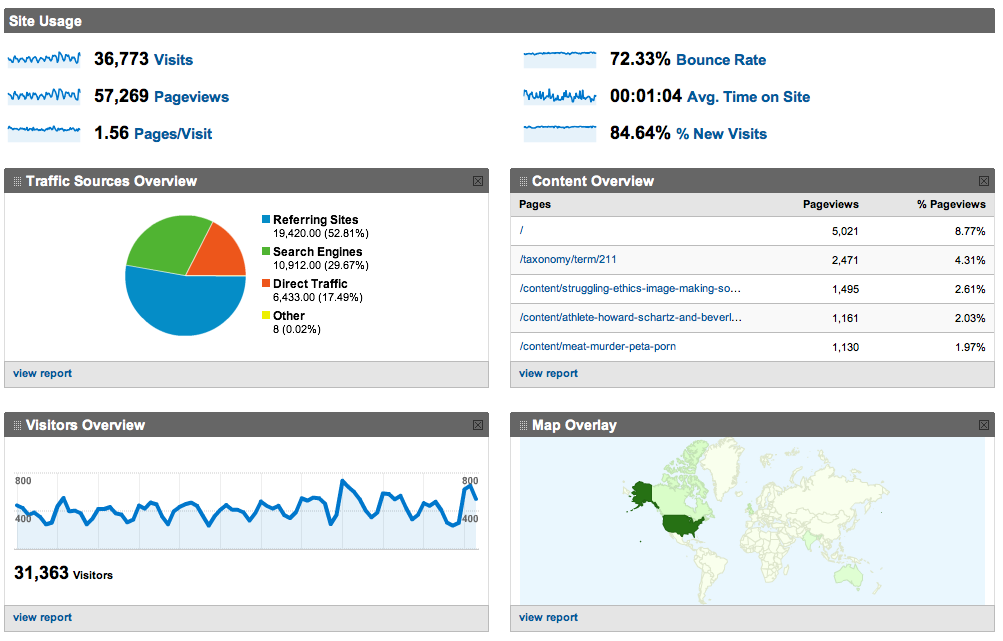 google analytics screen shot of dashboard