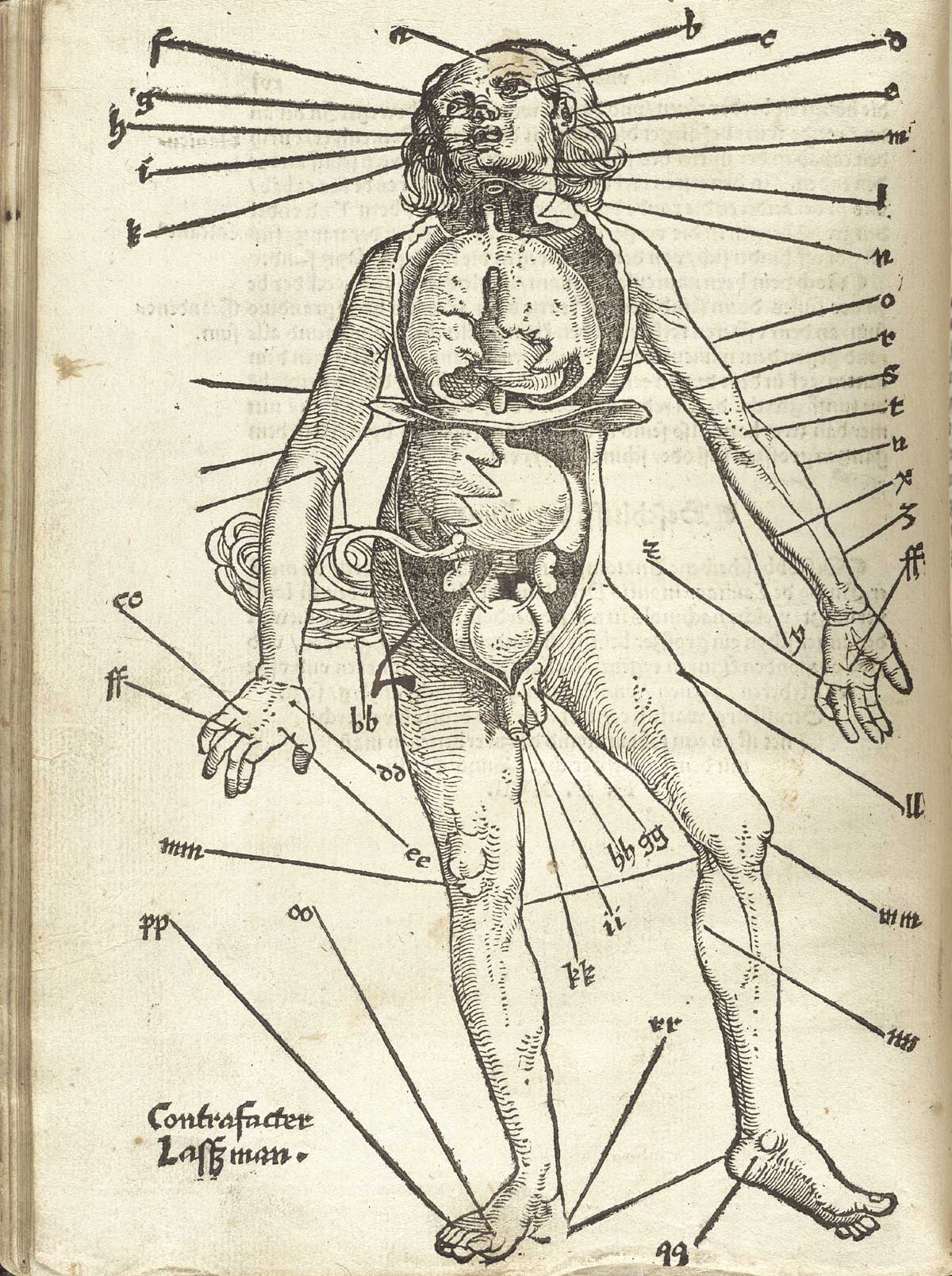 historical anatomy atlas