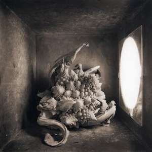 Halliday photograph of cauliflower