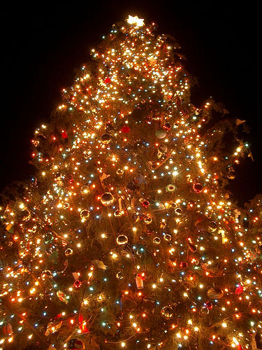 Christmas tree with many white lights and start at top against black sky